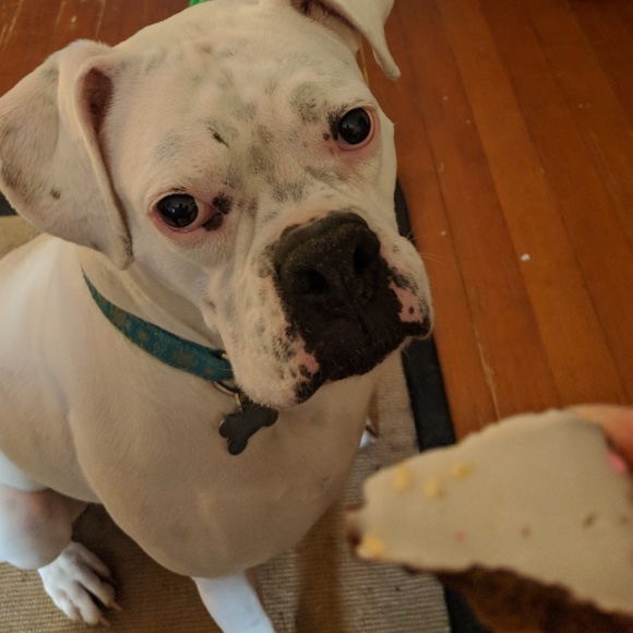 Click Here for Details - Picture 5 of 6